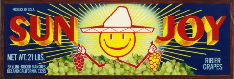 Sun Joy